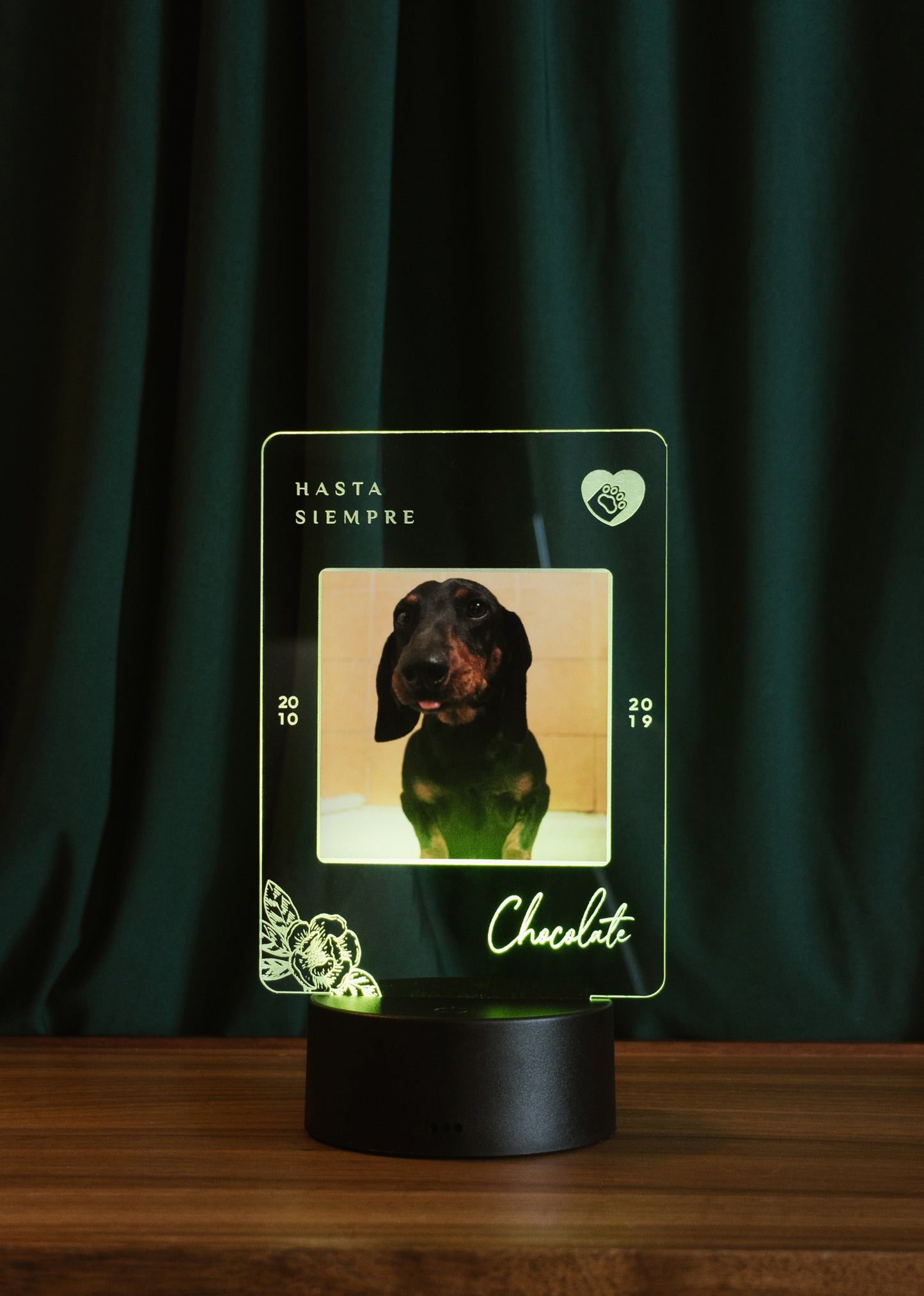 Homenaje Mascota